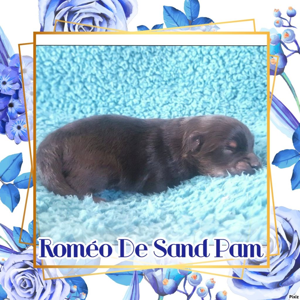 De sand-pam - 1ere photos des bébés
