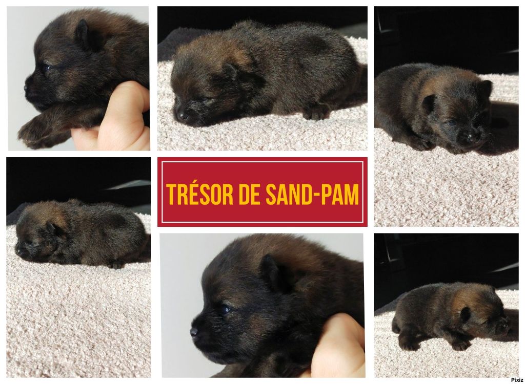 De sand-pam - 19 jours pour les bébés de Naya