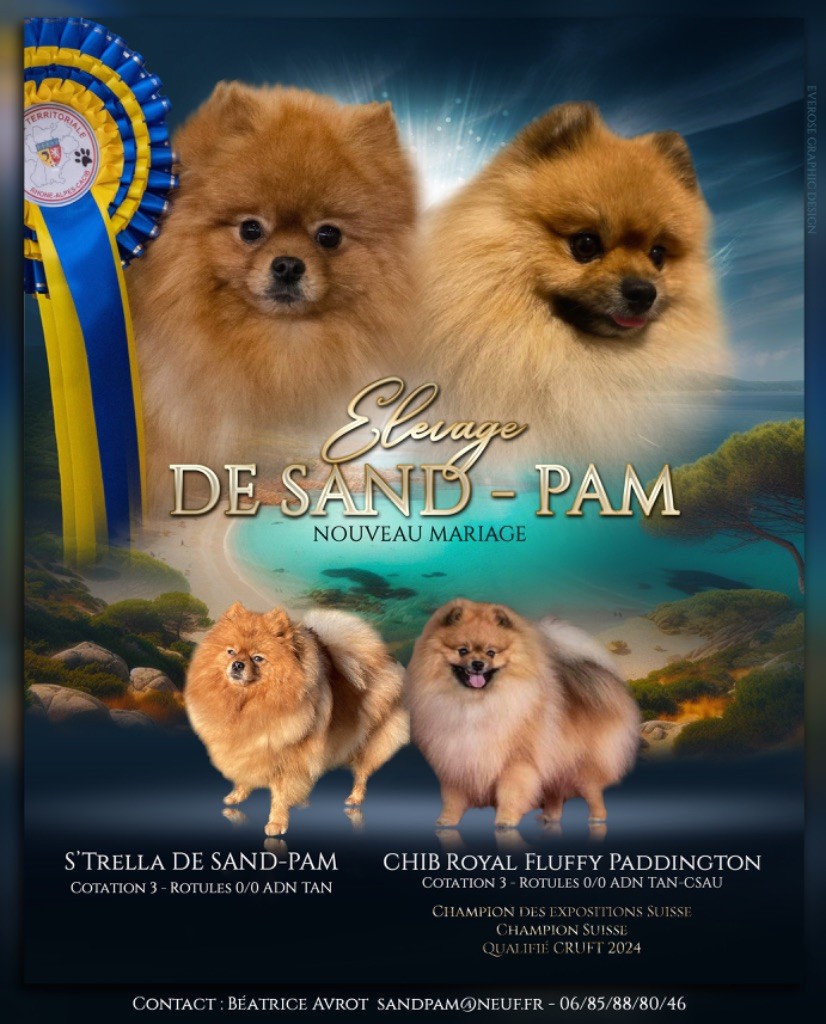 De sand-pam - 1 er mariage 2024