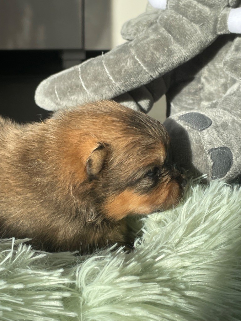 De sand-pam - Nouvelles photos des bébés